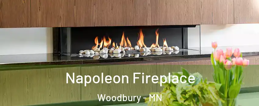  Napoleon Fireplace Woodbury - MN