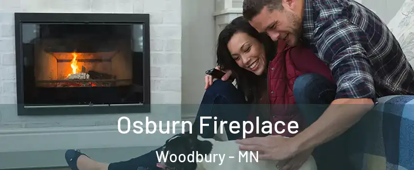  Osburn Fireplace Woodbury - MN