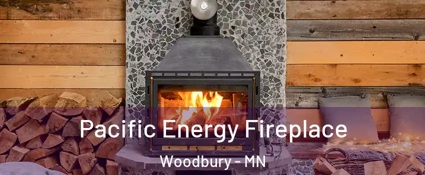 Pacific Energy Fireplace Woodbury - MN