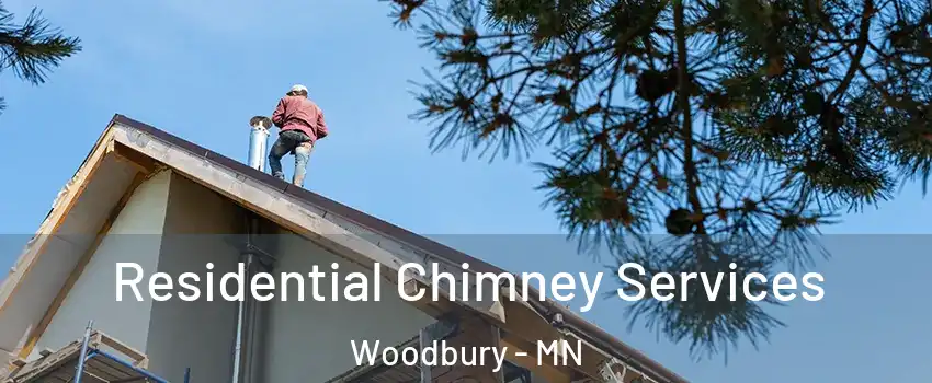  Residential Chimney Services Woodbury - MN