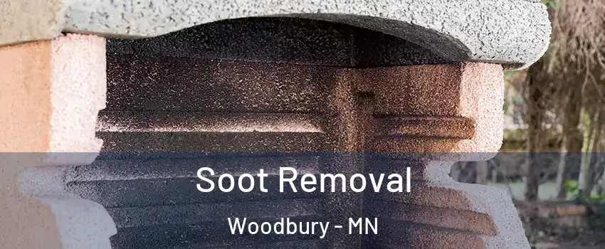  Soot Removal Woodbury - MN