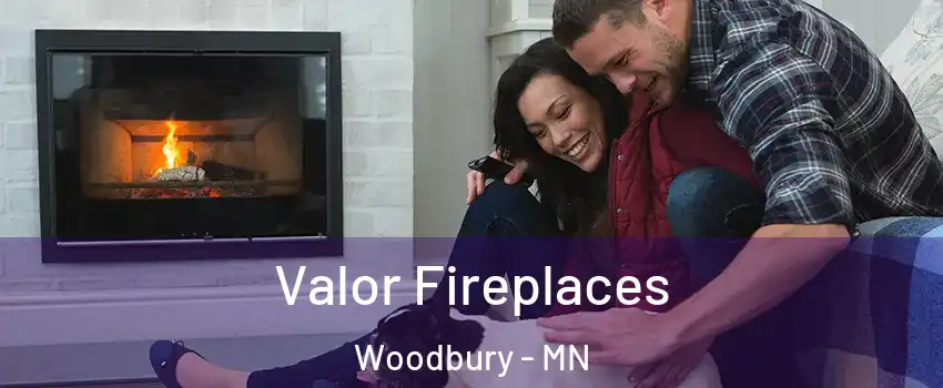  Valor Fireplaces Woodbury - MN