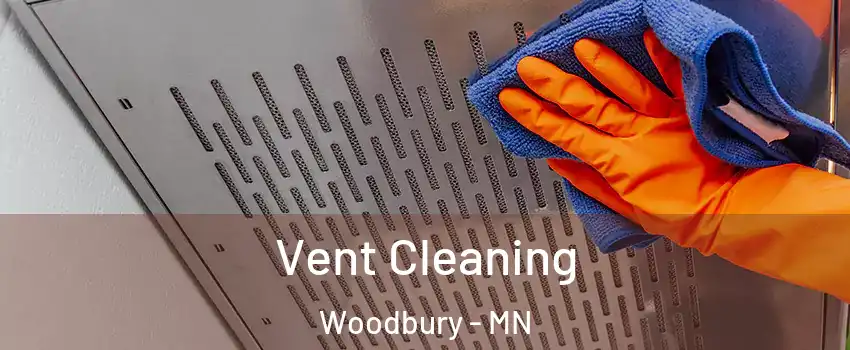  Vent Cleaning Woodbury - MN