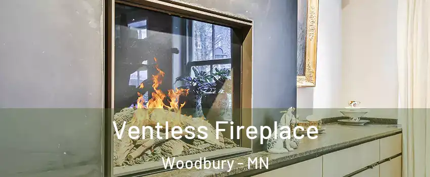  Ventless Fireplace Woodbury - MN