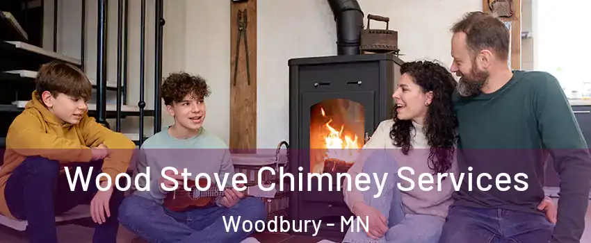  Wood Stove Chimney Services Woodbury - MN
